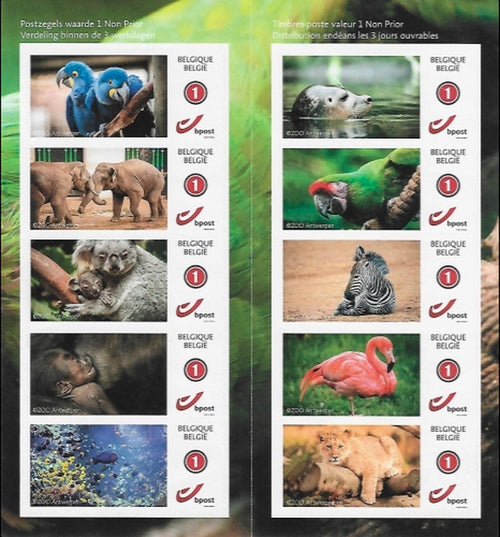 Bpost - 10 postzegels tarief BE1 - Zoo van Antwerpen