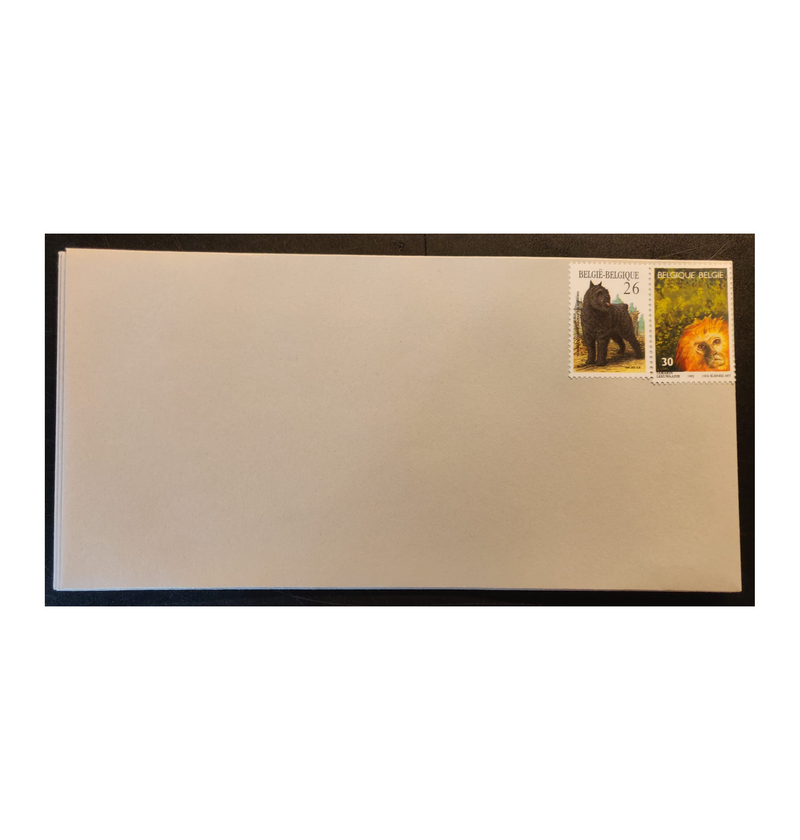 20 voorgekleefde C5 enveloppen – tarief BE1 – zonder venster